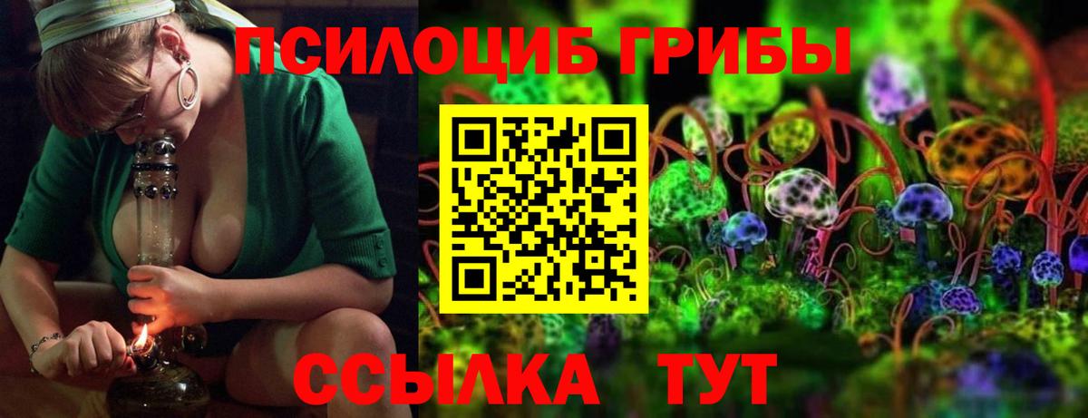 Людиново  Галлюциногенные грибы Psilocybine cubensis  Вход с VPN  Галлюциногенные грибы Psilocybine cubensis 