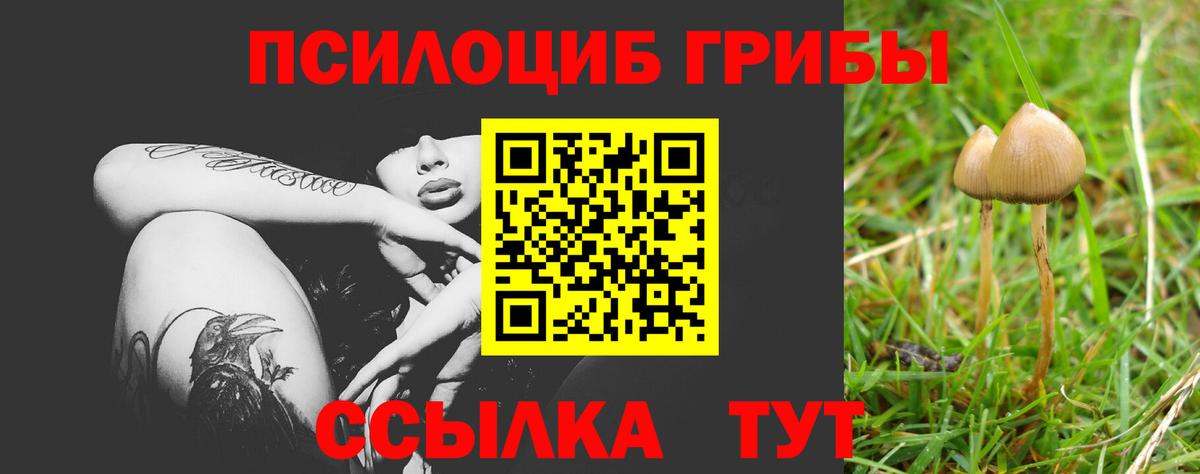 Галлюциногенные грибы прущие грибы Людиново